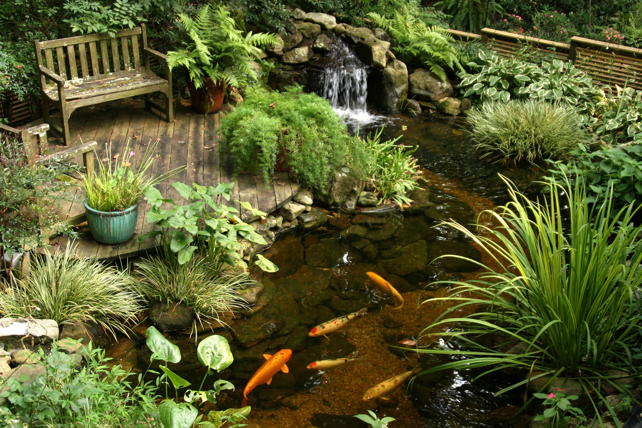 Water Garden Koi Ponds